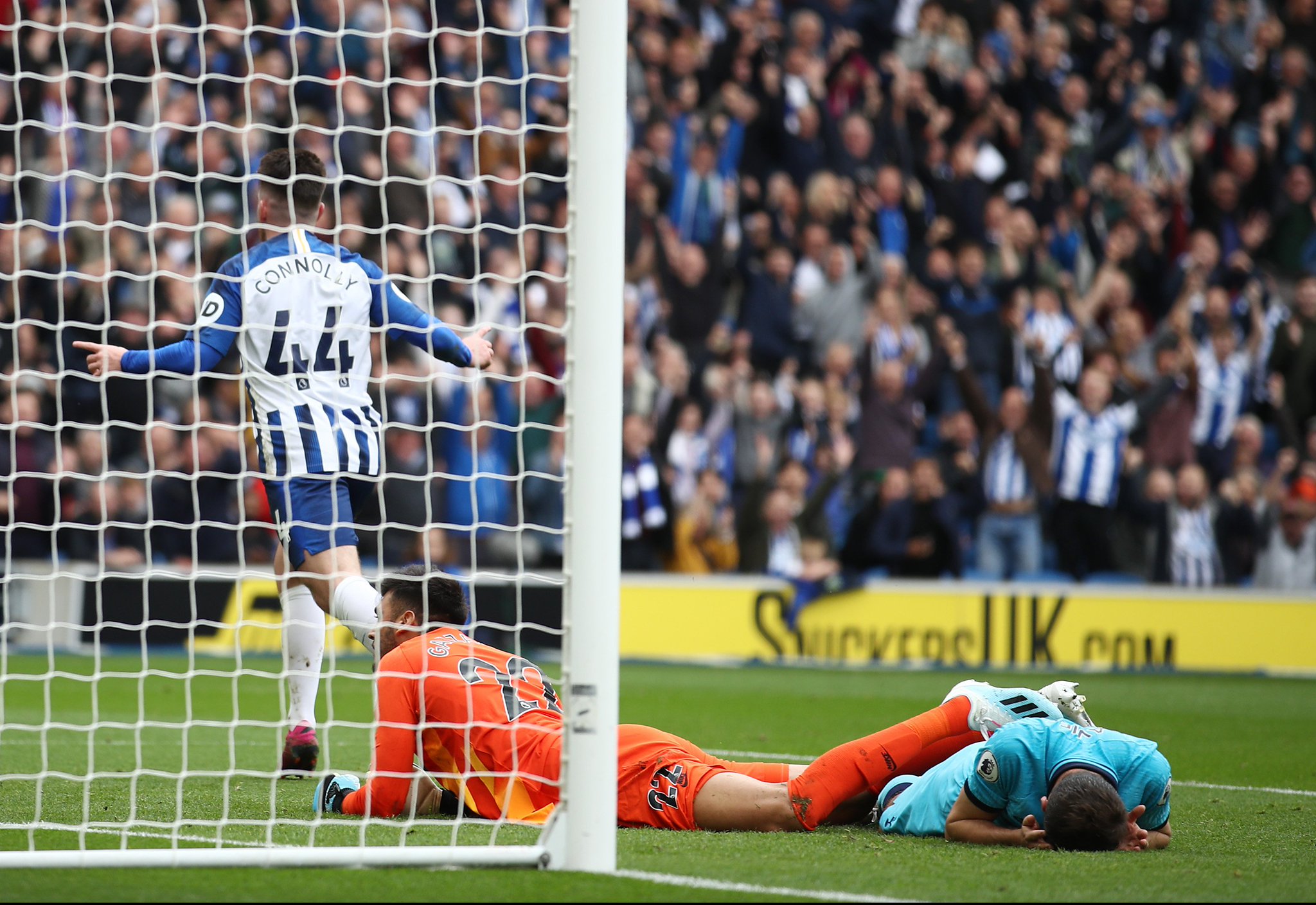 这一动态令 这一动态令